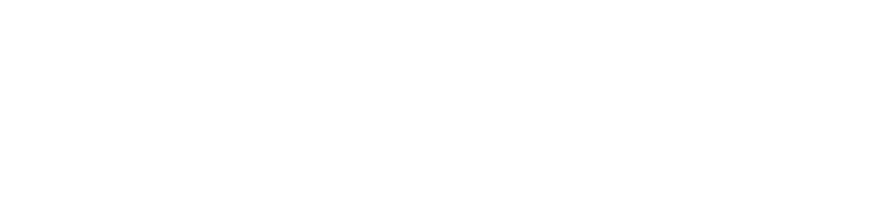 Lifestyle Motors