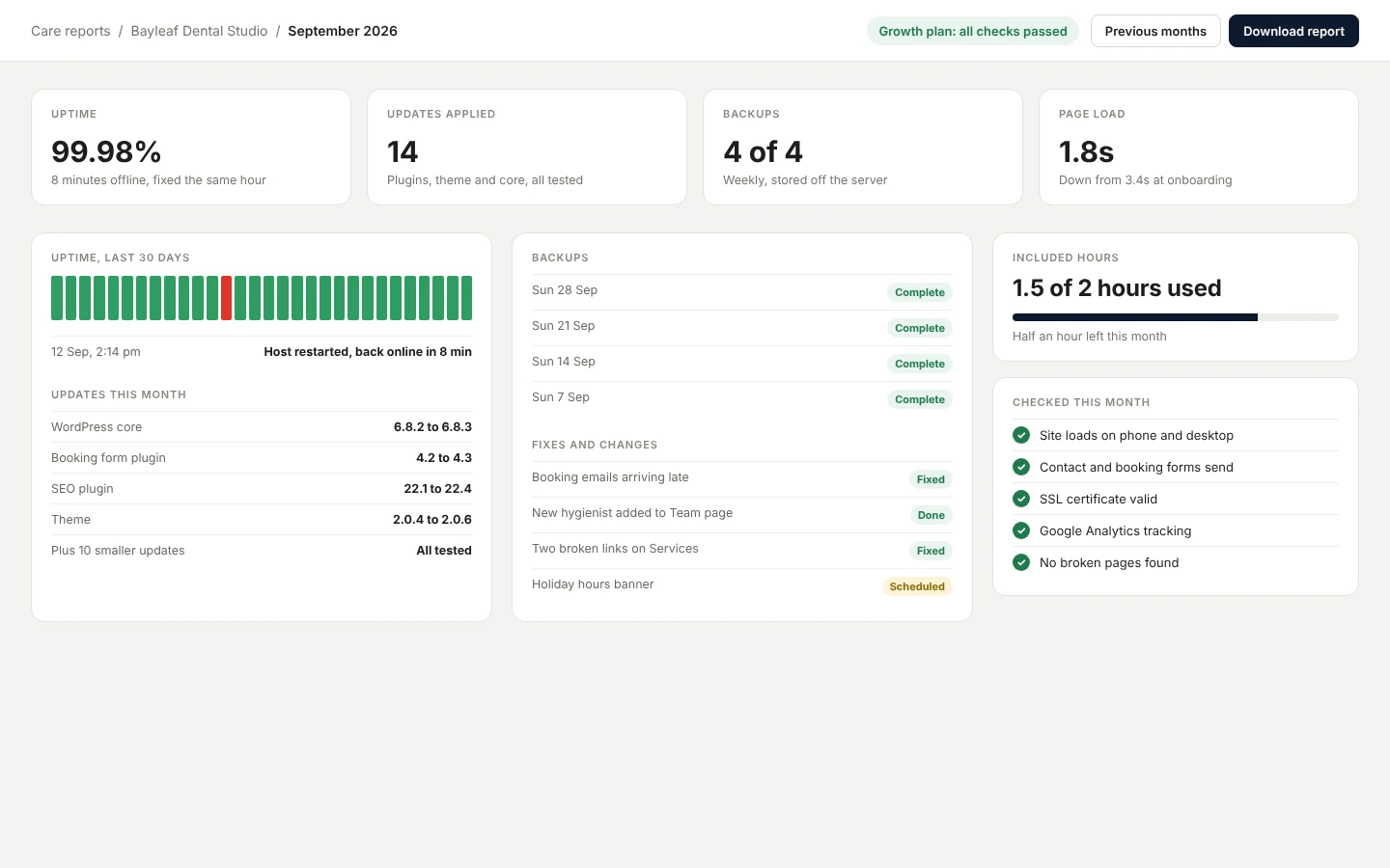 Example monthly care report for a dental studio website, showing uptime, updates, backups and fixes