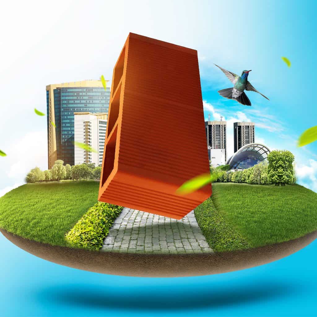 ABEL Website Design Case Study